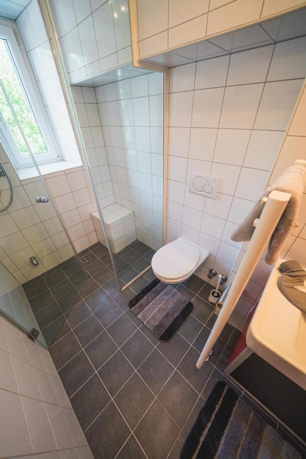Dolomitenmannapartments リエンツ エクステリア 写真